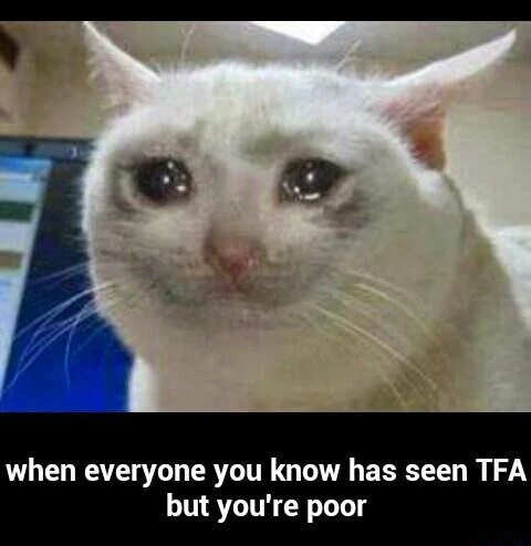Crying cat meme sad for being poor to see TFA