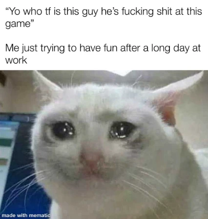 Crying cat meme sad after being roasted for bad gaming