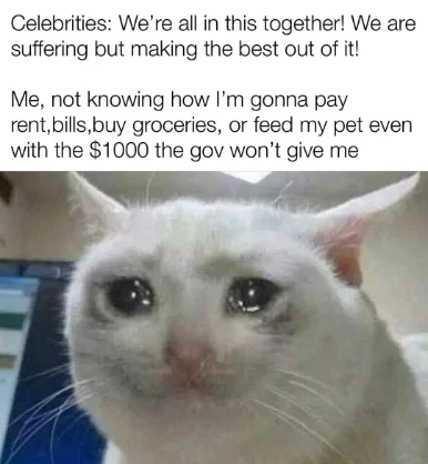 Crying cat meme upset over unpaid rent bills