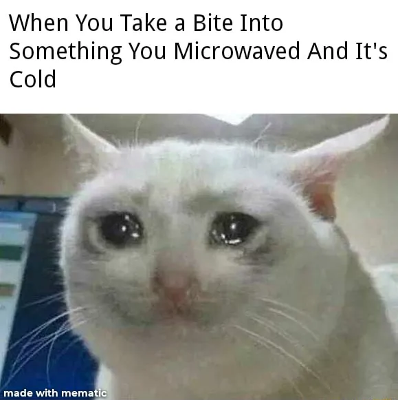 Crying cat meme upset by cold microwaved food