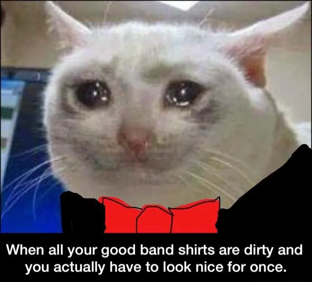 Crying cat meme sad to dress up no clean tees
