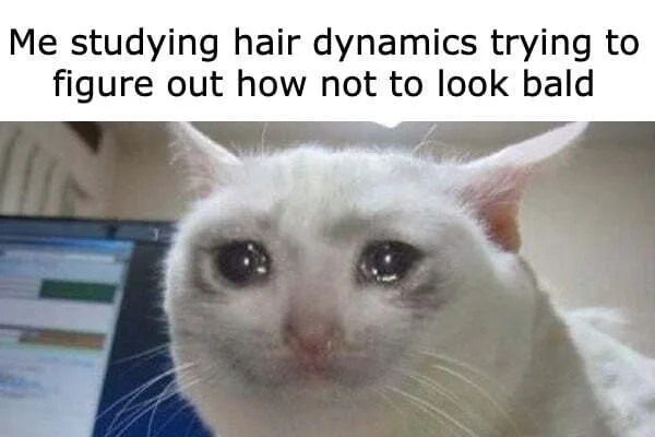 Crying cat meme study hair to not go bald