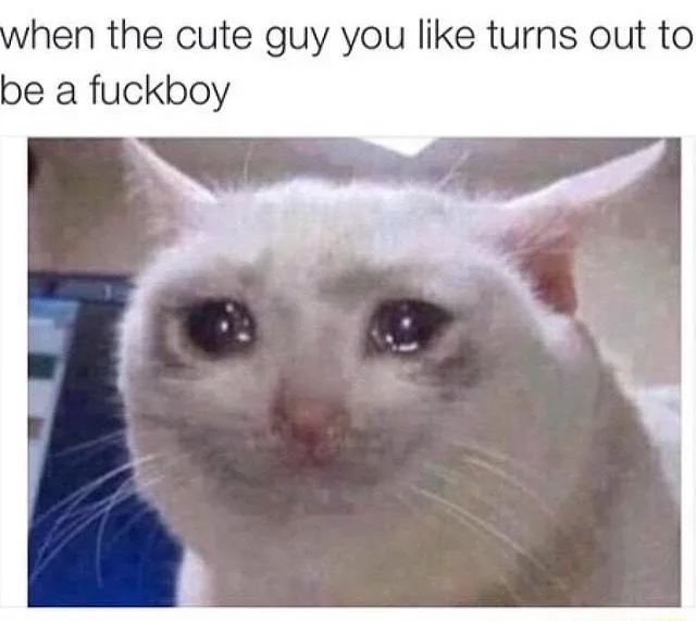 Crying cat meme sad knowing crush is fuckboy