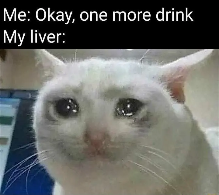 Crying cat meme liver begs no more drink
