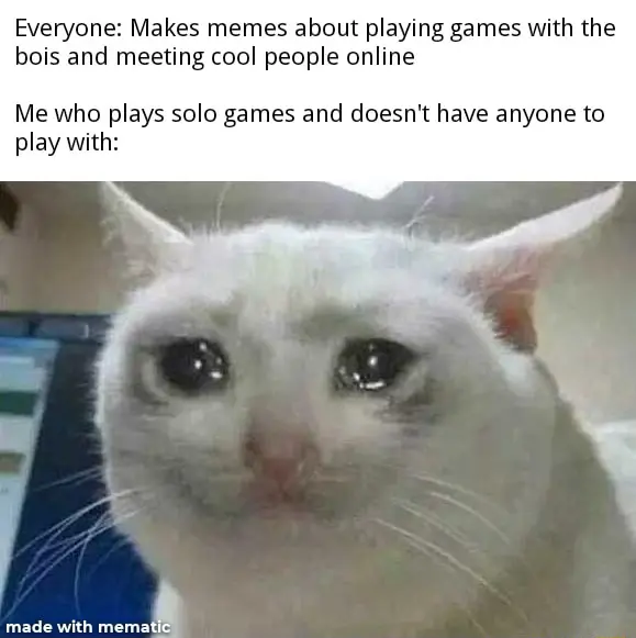 Crying cat meme sad playing solo games alone