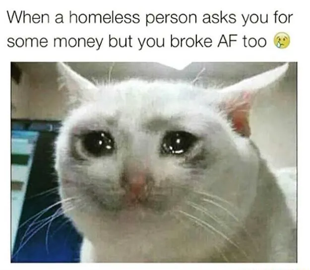 Crying cat meme broke too when asked for cash