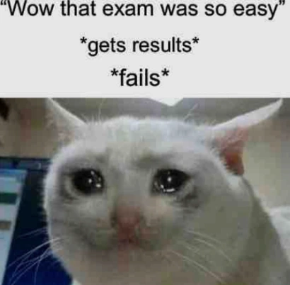 Crying cat meme cries after failing an easy exam