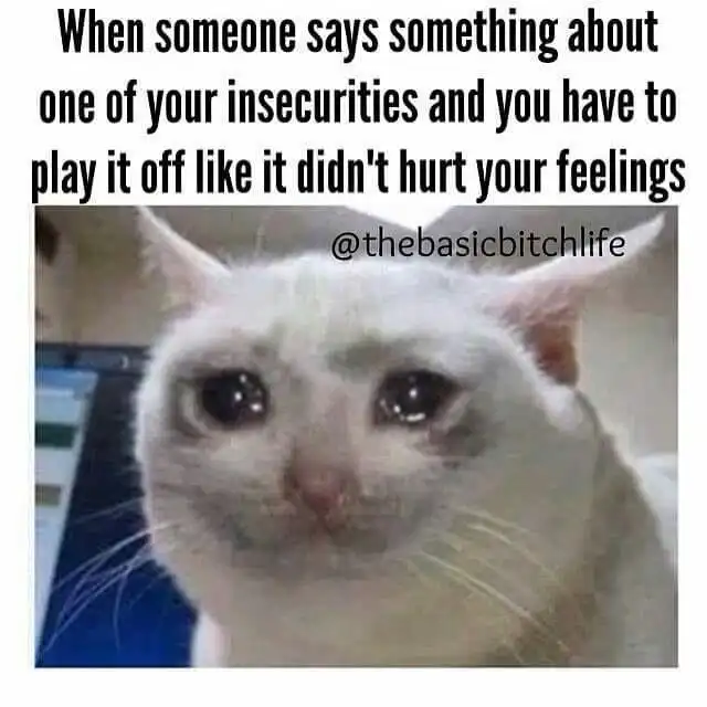 Crying cat meme act fine when called out