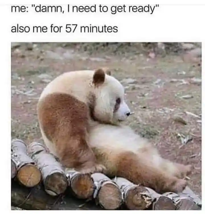 Lazy panda meme lazing before getting ready