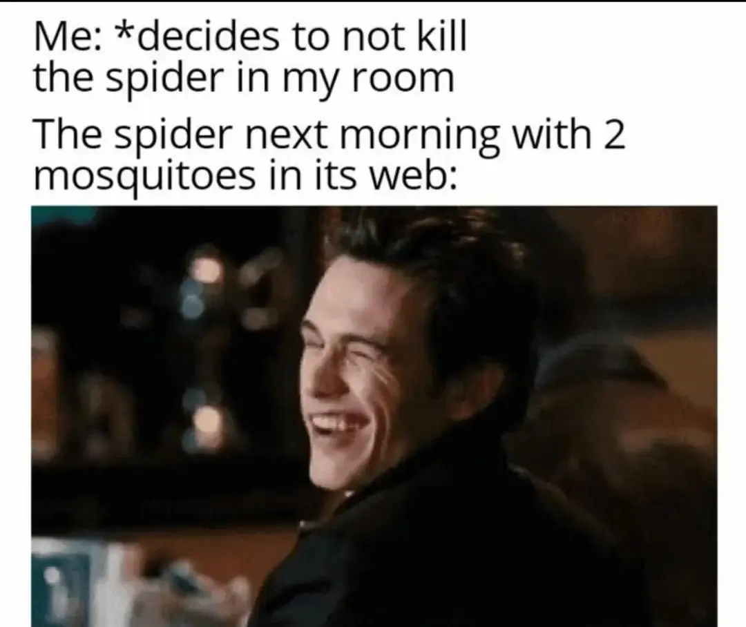Spider meme smugly grinning at you