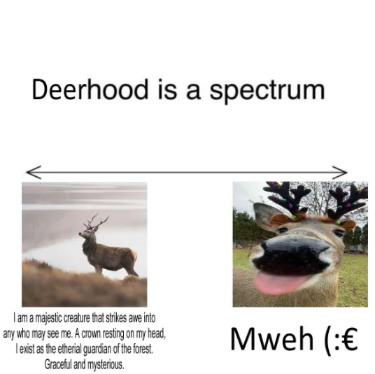 Deerhood spectrum meme majestic vs silly deer