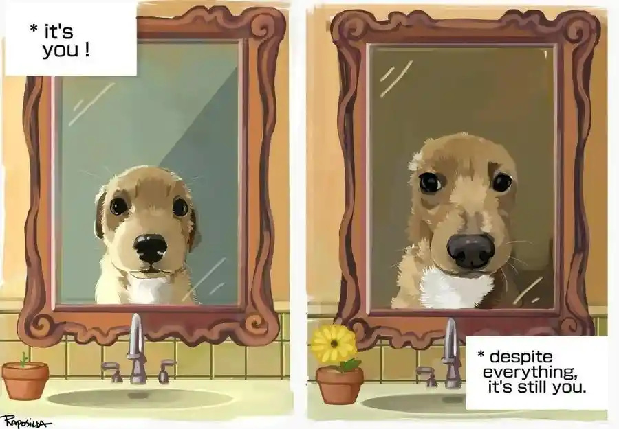 Dog mirror meme cute self love moment