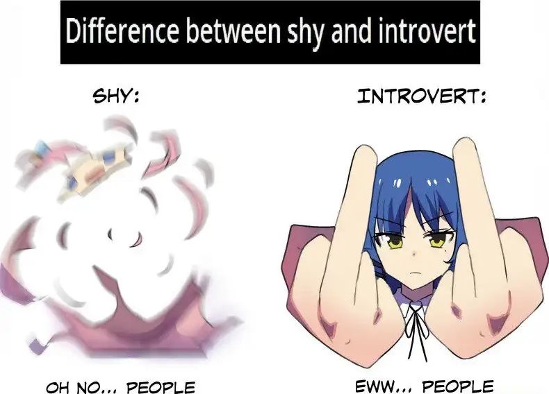 Shy vs Introvert meme reacting to people