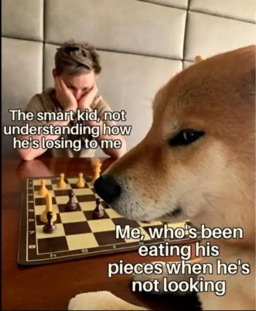 Dog playing chess meme eating pieces to win