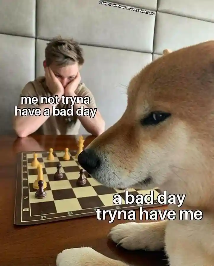 Dog playing chess meme bad day beats you