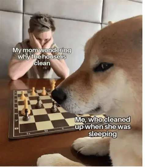 Dog playing chess meme secretly cleaned house