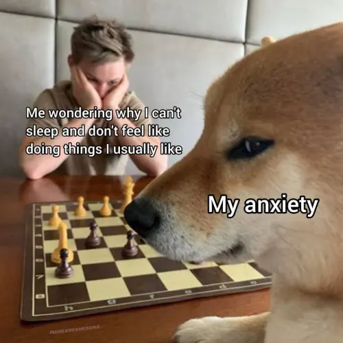 Dog playing chess meme beats me, anxiety wins