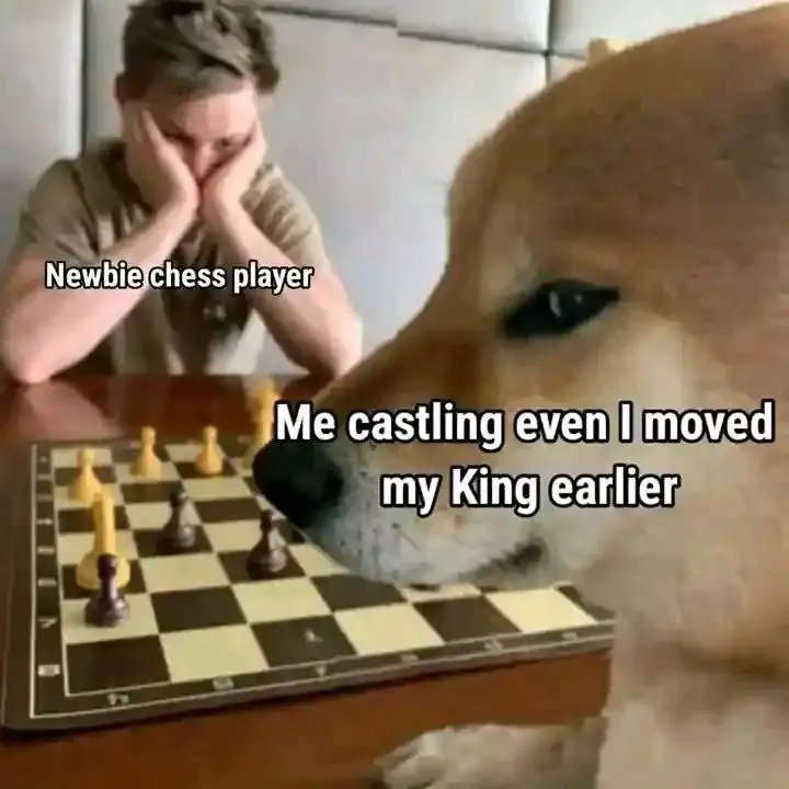 Dog playing chess meme illegal castling confuses newbie chess player