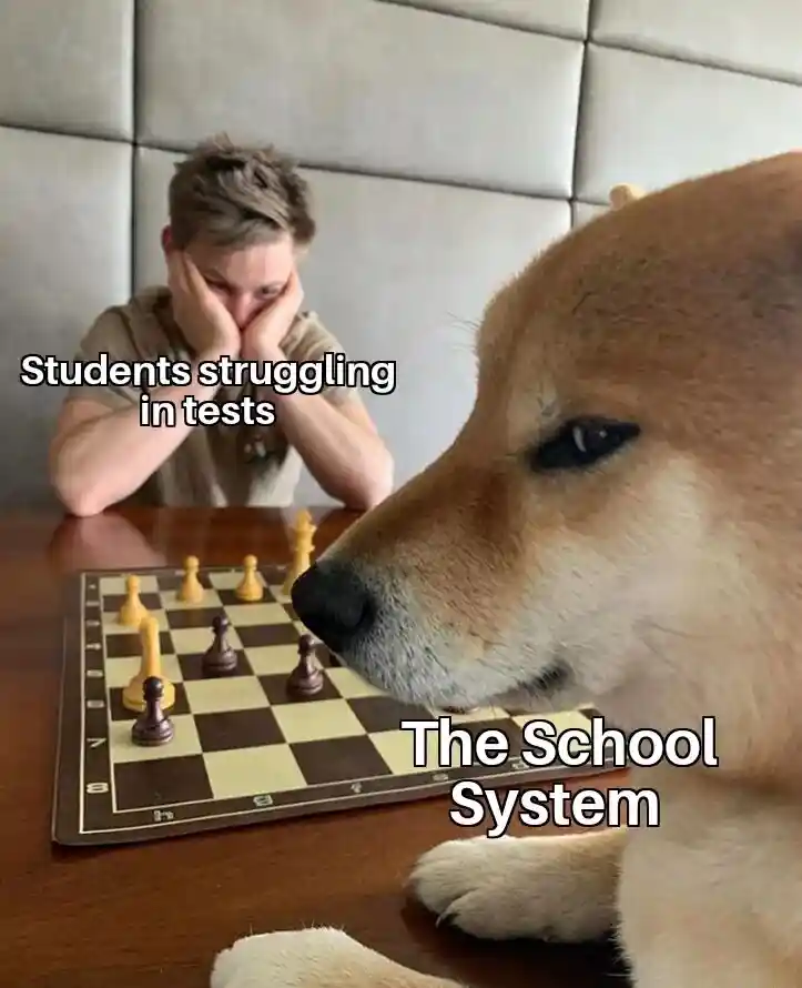Dog playing chess meme beats stressed student