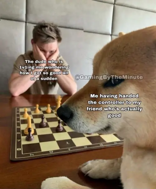 Dog playing chess meme letting skilled friend beat confused 1v1 opponent