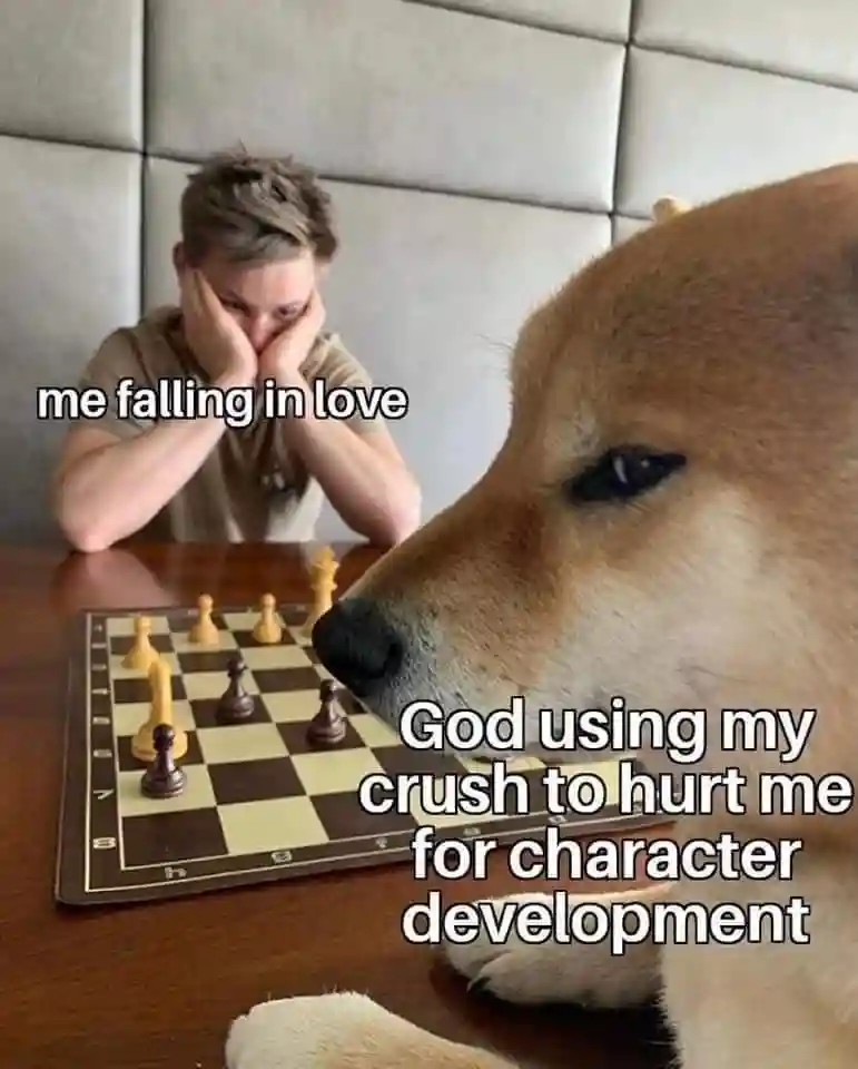 Dog playing chess meme beating stressed lover