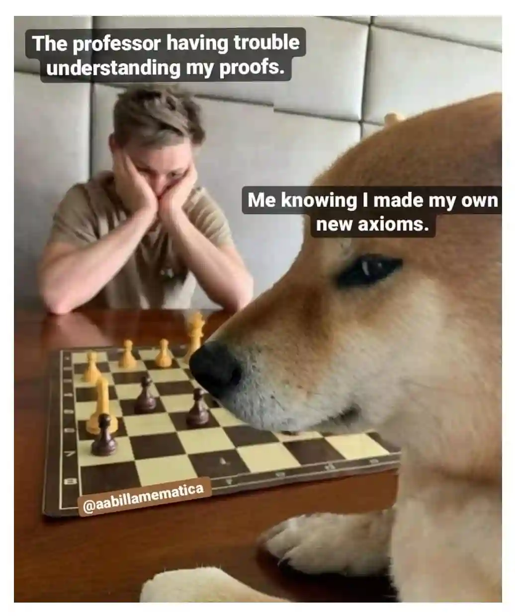 Dog playing chess meme outsmarting prof with math proofs