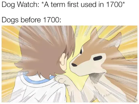 Dog watch meme dog staring at human