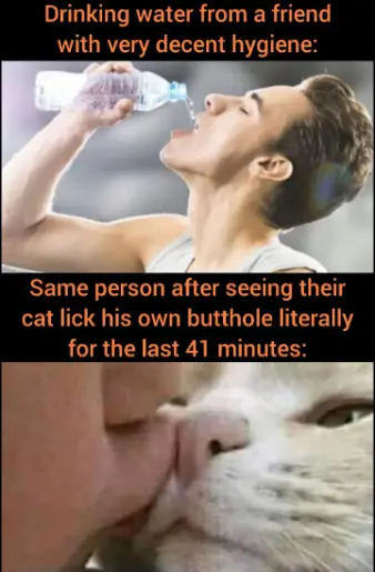 Sharing water meme grossed out by cat licking