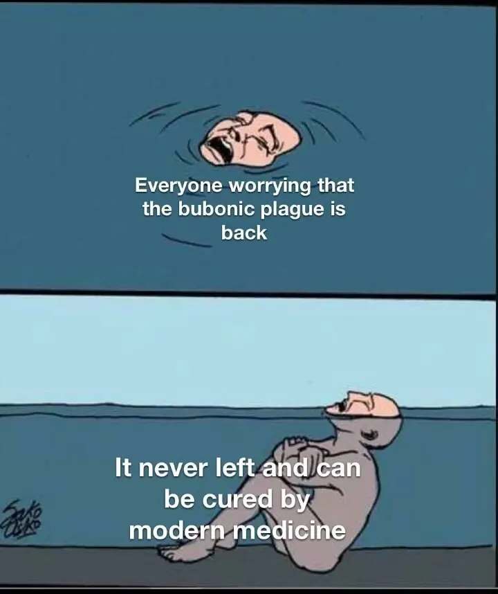 Drowning in shallow water meme plague panic