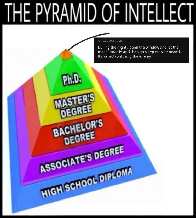 Pyramid Of Intellect meme tricking mosquitoes to confuse enemy