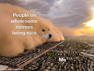 Dust storm dog meme brings wholesome niceness