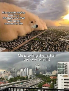 Dust storm dog meme prove parents right funny