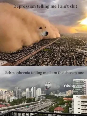 Dust storm dog meme two opposite mental views