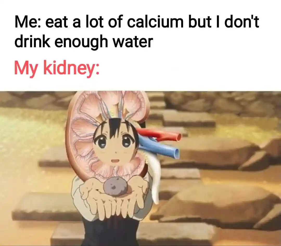 Kidney stone meme holding stone to user