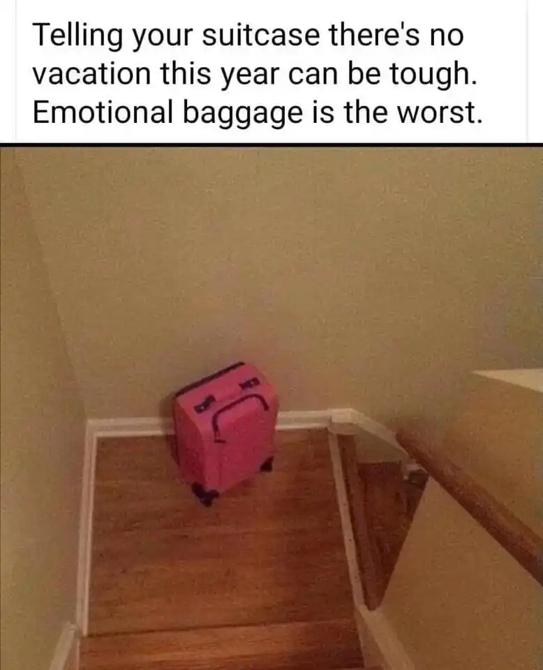 Emotional Baggage meme no vacay sad pun