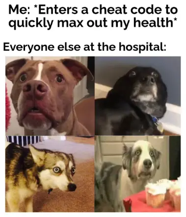 Cheat code max health hospital meme four shocked dogs