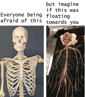 Creepy nervous system meme floating toward you