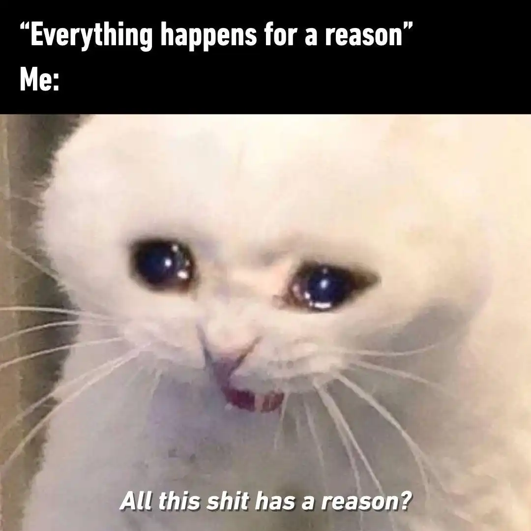 Crying cat meme questioning unfair life