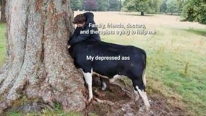 Depressed person meme others trying to help