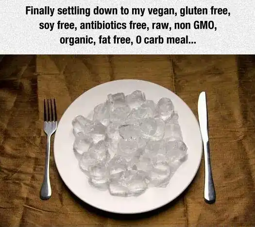 Zero carb vegan diet meme with plate of ice