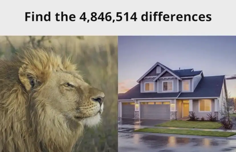 Find The Differences meme lion vs house