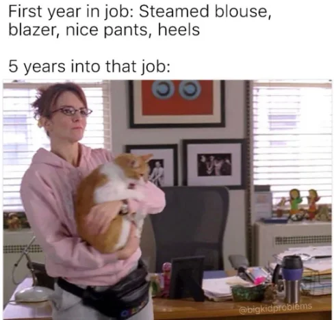 5 Years Job Dress Down Meme Holds Cat At Desk