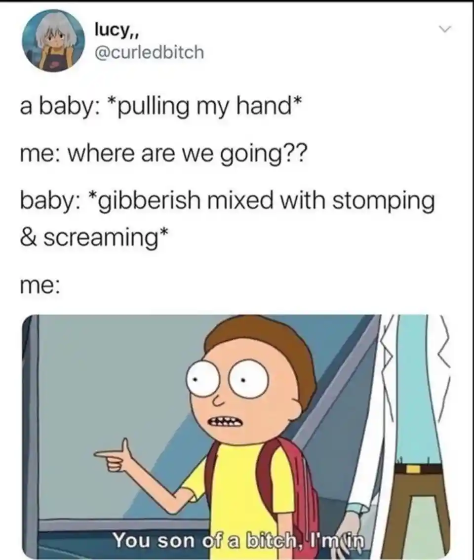 Baby pulling hand meme saying I'm in