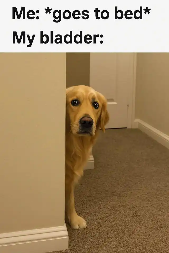 Bedtime bladder meme dog peeking from corner