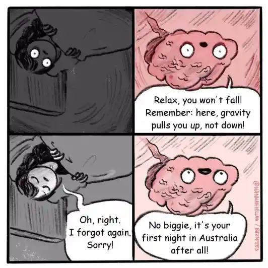 First night Australia meme gravity joke