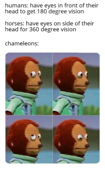 Chameleon vision meme with funny eye movement