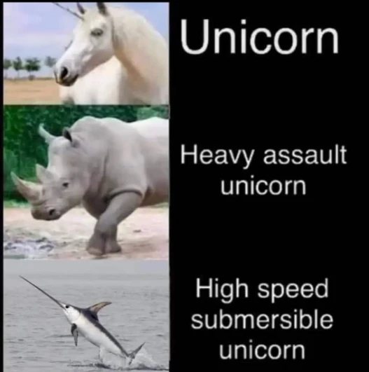 Silly unicorn types meme lists three variants