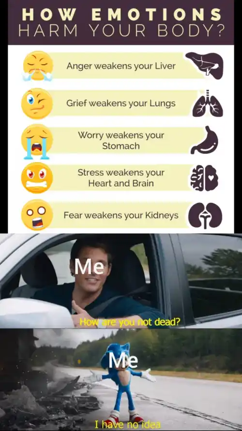 Emotions harm your body meme i have no idea