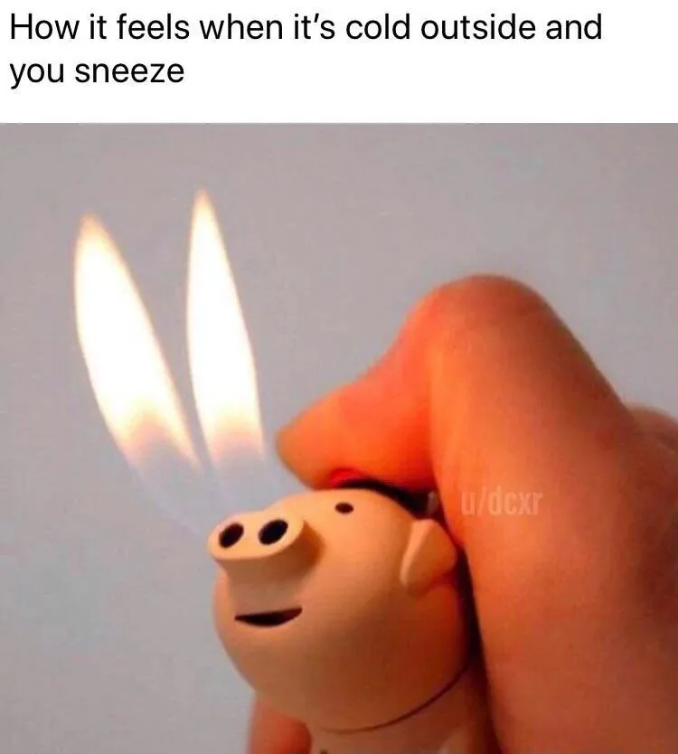 Cold outside sneeze meme pig lighter nose flames