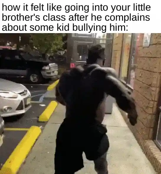 Big brother confronts little brother's bully meme rushing into school